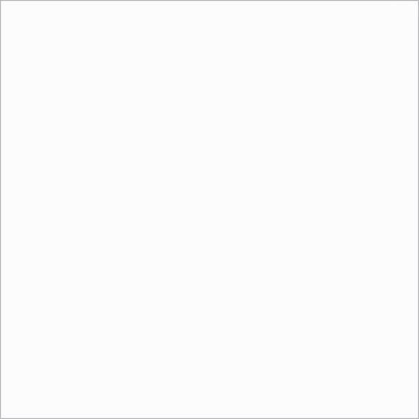 Пластик HPL компенсационный Fenix 0032 Bianco Kos (0028 Bianco Nube) R 3050x1300x1,0