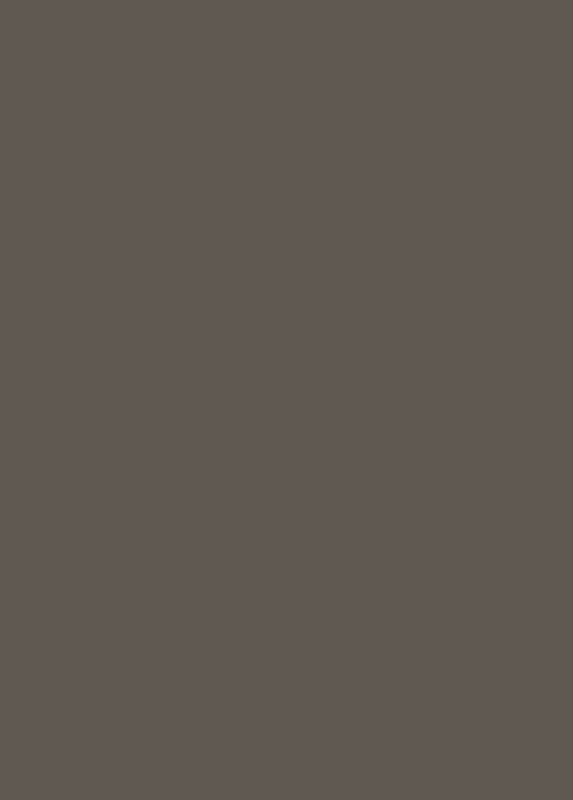 Бумажно-слоистый пластик БСП Лава серая U741 ST9 0,8 мм 2800*1310 мм Egger