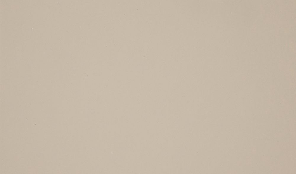 Пластик HPL Arpa 0225 R Темно-кремовый матовый PF 0,6 мм 3050*1300 мм