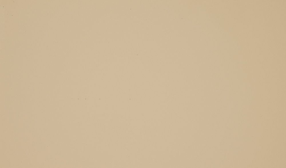 Пластик HPL Arpa 0536 LU Кофе с молоком  глянец PF 0,6 мм 3050*1300 мм